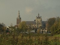 NL, Noord-Brabant, 's-Hertogenbosch, Sint Jan 8, Saxifraga-Jan van der Straaten