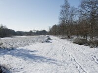 NL, Noord-Brabant, Alphen-Chaam, de Hoevens 45, Saxifraga-Willem van Kruijsbergen