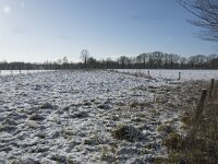 NL, Noord-Brabant, Alphen-Chaam, de Hoevens 47, Saxifraga-Willem van Kruijsbergen