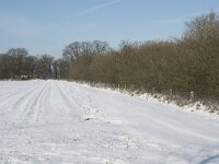 NL, Noord-Brabant, Alphen-Chaam, de Hoevens 49, Saxifraga-Willem van Kruijsbergen
