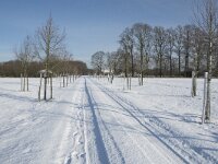 NL, Noord-Brabant, Alphen-Chaam, de Hoevens 50, Saxifraga-Willem van Kruijsbergen