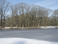 NL, Noord-Brabant, Alphen-Chaam, de Hoevens 62, Saxifraga-Willem van Kruijsbergen