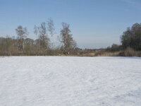 NL, Noord-Brabant, Alphen-Chaam, de Hoevens 68, Saxifraga-Willem van Kruijsbergen