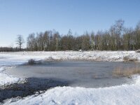 NL, Noord-Brabant, Alphen-Chaam, de Hoevens 69, Saxifraga-Willem van Kruijsbergen
