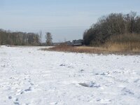 NL, Noord-Brabant, Alphen-Chaam, de Hoevens 74, Saxifraga-Willem van Kruijsbergen
