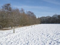 NL, Noord-Brabant, Alphen-Chaam, de Hoevens 82, Saxifraga-Willem van Kruijsbergen