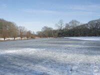 NL, Noord-Brabant, Alphen-Chaam, de Hoevens 86, Saxifraga-Willem van Kruijsbergen