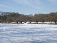 NL, Noord-Brabant, Alphen-Chaam, de Hoevens 87, Saxifraga-Willem van Kruijsbergen