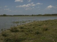NL, Noord-Brabant, Baarle-Nassau, Castelreesche Heide 13, Saxifraga-Willem van Kruijsbergen