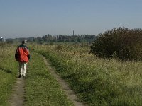 NL, Noord-Brabant, Bergen op Zoom, Molenplaat 4, Saxifraga-Jan van der Straaten