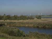 NL, Noord-Brabant, Bergen op Zoom, Zoommeer 2, Saxifraga-Jan van der Straaten