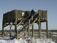 NL, Noord-Brabant, Boxtel, Banisveld 20, Saxifraga-Marijke Verhagen