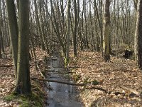 NL, Noord-Brabant, Boxtel, De Geelders 26, Saxifraga-Willem van Kruijsbergen