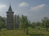 NL, Noord-Brabant, Boxtel, Groot Duijfhuis 3, Saxifraga-Marijke Verhagen