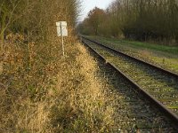 NL, Noord-Brabant, Boxtel, Het Speet 17, Saxifraga-Jan van der Straaten