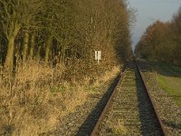 NL, Noord-Brabant, Boxtel, Het Speet 23, Saxifraga-Jan van der Straaten