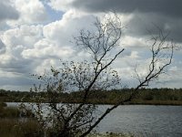 NL, Noord-Brabant, Boxtel, Huisven 2, Saxifraga-Jan van der Straaten