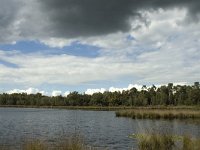 NL, Noord-Brabant, Boxtel, Huisven 7, Saxifraga-Jan van der Straaten