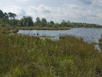 NL, Noord-Brabant, Boxtel, Huisvennen 4, Saxifraga-Jan van der Straaten