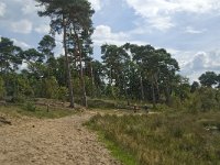 NL, Noord-Brabant, Boxtel, Huisvennen 6, Saxifraga-Jan van der Straaten