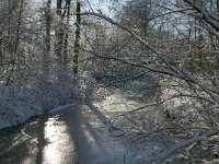 NL, Noord-Brabant, Boxtel, Smalbroeken, Beerze 2, Saxifraga-Marijke Verhagen