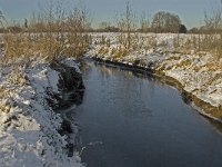 NL, Noord-Brabant, Boxtel, Smalwater 13, Saxifraga-Jan van der Straaten