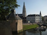 NL, Noord-Brabant, Breda 1, Saxifraga-Henk Sierdsema