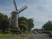 NL, Noord-Brabant, Eindhoven, Acht 2, Saxifraga-Jan van der Straaten