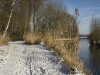 NL, Noord-Brabant, Eindhoven, Bokt, Kleine Dommel 3, Saxifraga-Marijke Verhagen