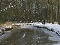 NL, Noord-Brabant, Eindhoven, Collse Zeggen 13, Saxifraga-Jan van der Straaten