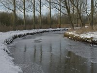 NL, Noord-Brabant, Eindhoven, Collse Zeggen 8, Saxifraga-Jan van der Straaten