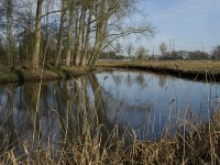 NL, Noord-Brabant, Eindhoven, De Bogten, Dommel 5, Saxifraga-Jan van der Straaten