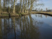 NL, Noord-Brabant, Eindhoven, De Bogten, Dommel 6, Saxifraga-Jan van der Straaten