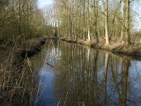 NL, Noord-Brabant, Eindhoven, De Bogten, Dommel 7, Saxifraga-Jan van der Straaten