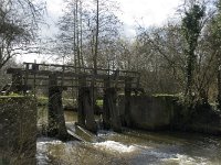 NL, Noord-Brabant, Eindhoven, Genneper Watermolen 5, Saxifraga-Jan van der Straaten