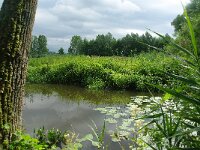 NL, Noord-Brabant, Eindhoven, Kleine Dommel bij Collse watermolen 1, Saxifraga-Foto Fitis-Sytske Dijksen