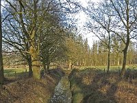 NL, Noord-Brabant, Eindhoven, Lage Heide 1, Saxifraga-Jan van der Straaten