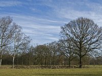 NL, Noord-Brabant, Eindhoven, Lage Heide 26, Saxifraga-Jan van der Straaten