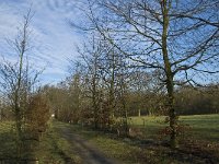 NL, Noord-Brabant, Eindhoven, Lage Heide 3, Saxifraga-Jan van der Straaten