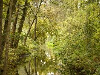 NL, Noord-Brabant, Eindhoven, Tongelreep 5, Saxifraga-Foto Fitis-Sytske Dijksen