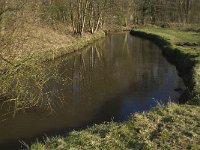 NL, Noord-Brabant, Eindhoven, Tongelreep near skating rink 4, Saxifraga-Jan van der Straaten