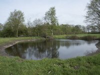 NL, Noord-Brabant, Goirle, De Hoevens, poel 1, Saxifraga-Willem van Kruijsbergen