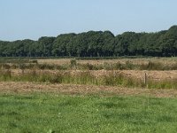 NL, Noord-Brabant, Goirle, Poppelsche Leij 5, Saxifraga-Willem van Kruijsbergen