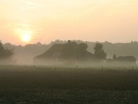 NL, Noord-Brabant, Grave, Escharen 4, Saxifraga-Hans Boll