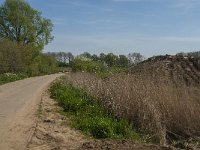 NL, Noord-Brabant, Lith, Hemelrijksche Waard 2, Saxifraga-Jan van der Straaten
