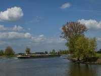 NL, Noord-Brabant, Lith, Hertogswetering 1, Saxifraga-Jan van der Straaten