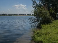 NL, Noord-Brabant, Lith, Lithse Ham 13, Saxifraga-Jan van der Straaten