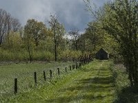 NL, Noord-Brabant, Lith, Lithse eendenkooi 1, Saxifraga-Jan van der Straaten