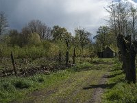 NL, Noord-Brabant, Lith, Lithse eendenkooi 2, Saxifraga-Jan van der Straaten