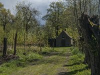 NL, Noord-Brabant, Lith, Lithse eendenkooi 3, Saxifraga-Jan van der Straaten